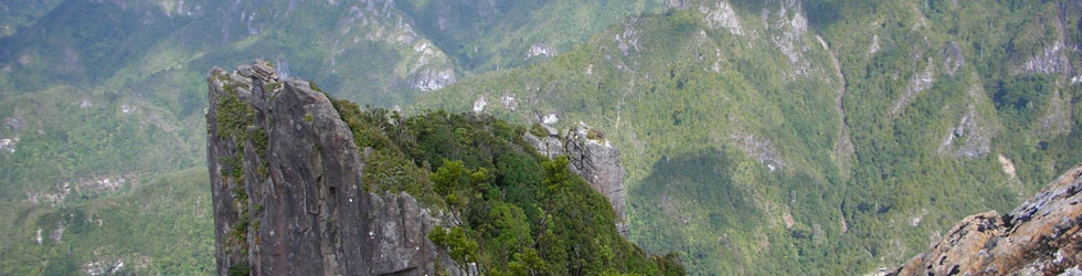 kauaeranga