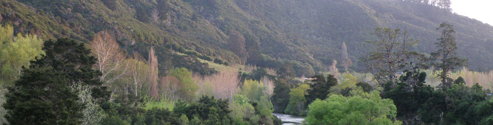 kauaeranga