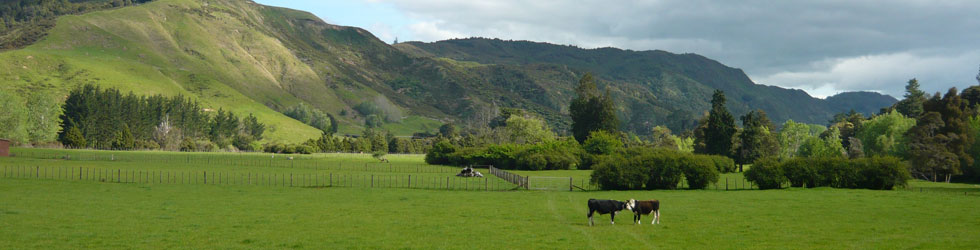 kauaeranga